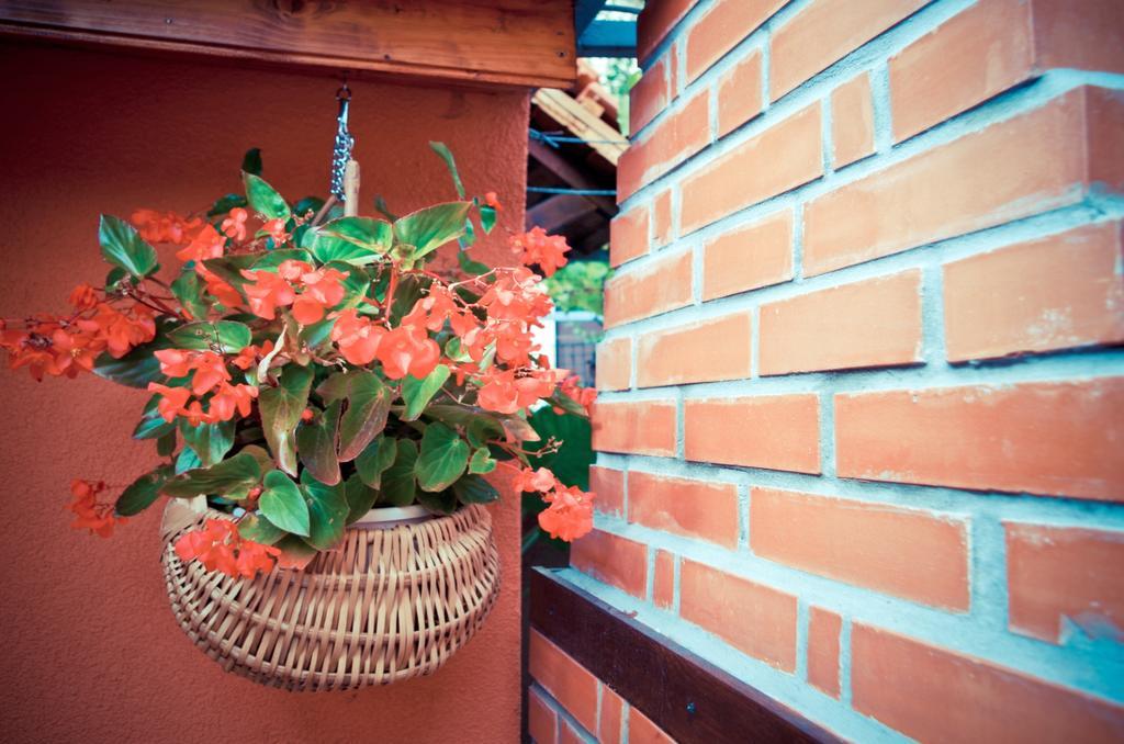 Garden House Hotel Matulji Ngoại thất bức ảnh